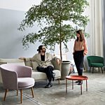 Dorso fauteuil
