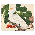 Cockatoo Wanddecoratie